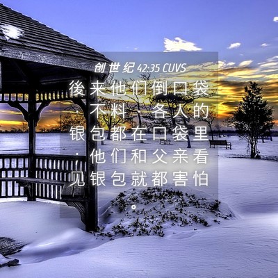 Picture 04 - 创 世 纪 42:35 CUVS - 後 来 他 们 倒 口 袋 ， 不 料 ， 各 - Bible Verse Picture