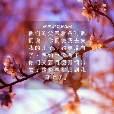 Picture 04 - 创 世 纪 42:36 CUVS - 他 们 的 父 亲 雅 各 对 他 们 说 ： - Bible Verse Picture