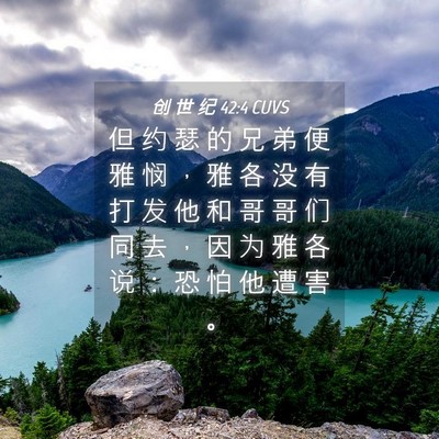 Picture 04 - 创 世 纪 42:4 CUVS - 但 约 瑟 的 兄 弟 便 雅 悯 ， 雅 各 - Bible Verse Picture
