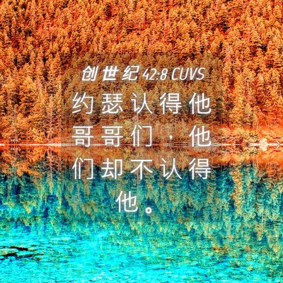 Picture 04 - 创 世 纪 42:8 CUVS - 约 瑟 认 得 他 哥 哥 们 ， 他 们 却 - Bible Verse Picture