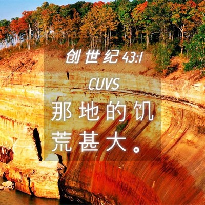 Picture 04 - 创 世 纪 43:1 CUVS - 那 地 的 饥 荒 甚 大 - Bible Verse Picture