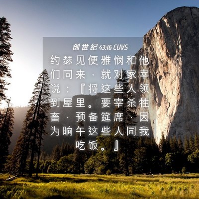 Picture 04 - 创 世 纪 43:16 CUVS - 约 瑟 见 便 雅 悯 和 他 们 同 来 ， - Bible Verse Picture