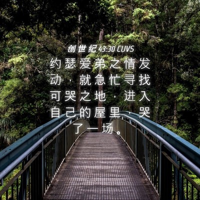 Picture 04 - 创 世 纪 43:30 CUVS - 约 瑟 爱 弟 之 情 发 动 ， 就 急 忙 - Bible Verse Picture
