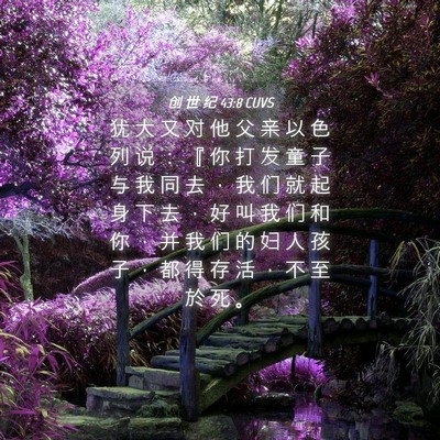 Picture 04 - 创 世 纪 43:8 CUVS - 犹 大 又 对 他 父 亲 以 色 列 说 ： - Bible Verse Picture