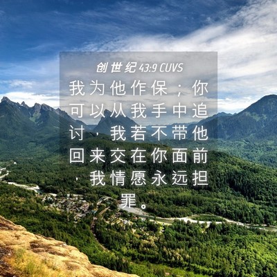 Picture 04 - 创 世 纪 43:9 CUVS - 我 为 他 作 保 ； 你 可 以 从 我 手 - Bible Verse Picture