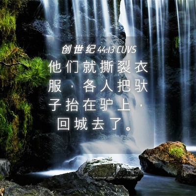 Picture 04 - 创 世 纪 44:13 CUVS - 他 们 就 撕 裂 衣 服 ， 各 人 把 驮 - Bible Verse Picture