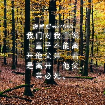 Picture 04 - 创 世 纪 44:22 CUVS - 我 们 对 我 主 说 ： 童 子 不 能 离 - Bible Verse Picture