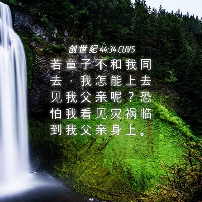 Picture 04 - 创 世 纪 44:34 CUVS - 若 童 子 不 和 我 同 去 ， 我 怎 能 - Bible Verse Picture