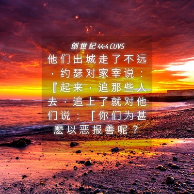 Picture 04 - 创 世 纪 44:4 CUVS - 他 们 出 城 走 了 不 远 ， 约 瑟 对 - Bible Verse Picture