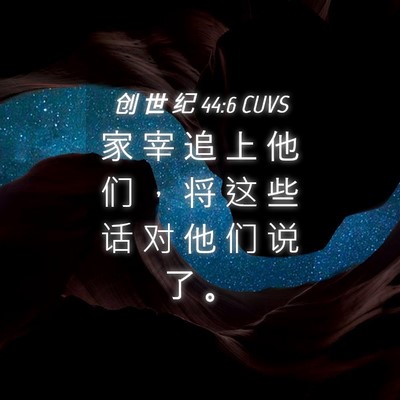 Picture 04 - 创 世 纪 44:6 CUVS - 家 宰 追 上 他 们 ， 将 这 些 话 对 - Bible Verse Picture