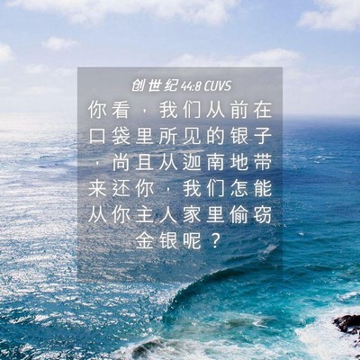 Picture 04 - 创 世 纪 44:8 CUVS - 你 看 ， 我 们 从 前 在 口 袋 里 所 - Bible Verse Picture