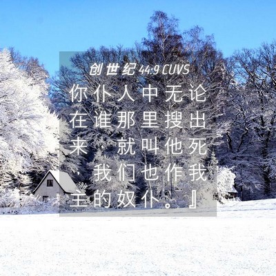 Picture 04 - 创 世 纪 44:9 CUVS - 你 仆 人 中 无 论 在 谁 那 里 搜 出 - Bible Verse Picture