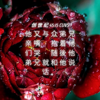 Picture 04 - 创 世 纪 45:15 CUVS - 他 又 与 众 弟 兄 亲 嘴 ， 抱 着 他 - Bible Verse Picture