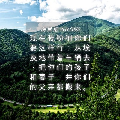 Picture 04 - 创 世 纪 45:19 CUVS - 现 在 我 吩 咐 你 们 要 这 样 行 ： - Bible Verse Picture