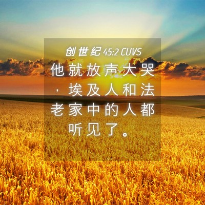Picture 04 - 创 世 纪 45:2 CUVS - 他 就 放 声 大 哭 ， 埃 及 人 和 法 - Bible Verse Picture