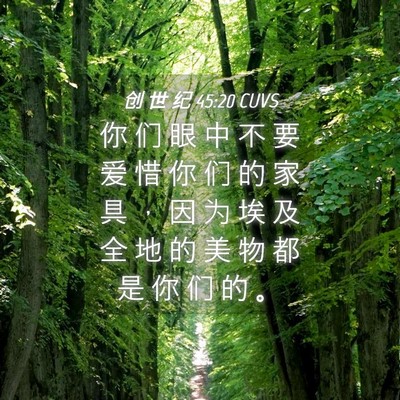 Picture 04 - 创 世 纪 45:20 CUVS - 你 们 眼 中 不 要 爱 惜 你 们 的 家 - Bible Verse Picture