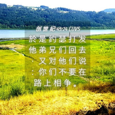 Picture 04 - 创 世 纪 45:24 CUVS - 於 是 约 瑟 打 发 他 弟 兄 们 回 去 - Bible Verse Picture