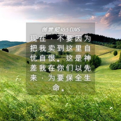 Picture 04 - 创 世 纪 45:5 CUVS - 现 在 ， 不 要 因 为 把 我 卖 到 这 - Bible Verse Picture