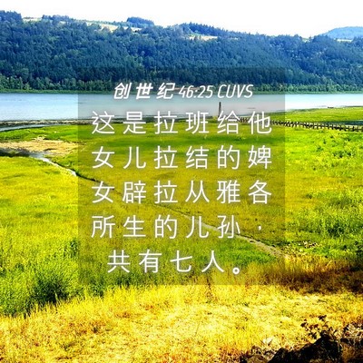 Picture 04 - 创 世 纪 46:25 CUVS - 这 是 拉 班 给 他 女 儿 拉 结 的 婢 - Bible Verse Picture