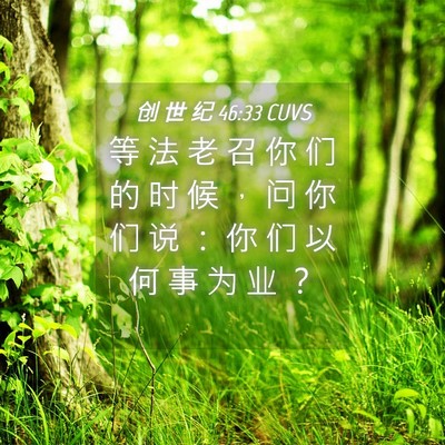 Picture 04 - 创 世 纪 46:33 CUVS - 等 法 老 召 你 们 的 时 候 ， 问 你 - Bible Verse Picture
