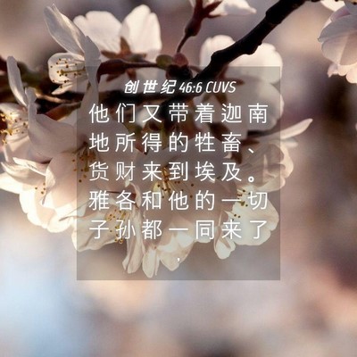 Picture 04 - 创 世 纪 46:6 CUVS - 他 们 又 带 着 迦 南 地 所 得 的 牲 - Bible Verse Picture