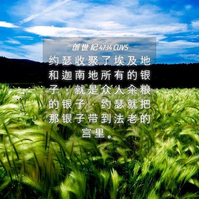 Picture 04 - 创 世 纪 47:14 CUVS - 约 瑟 收 聚 了 埃 及 地 和 迦 南 地 - Bible Verse Picture
