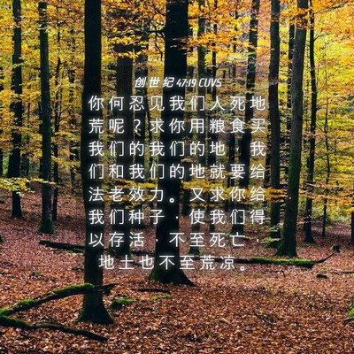 Picture 04 - 创 世 纪 47:19 CUVS - 你 何 忍 见 我 们 人 死 地 荒 呢 ？ - Bible Verse Picture