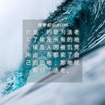 Picture 04 - 创 世 纪 47:20 CUVS - 於 是 ， 约 瑟 为 法 老 买 了 埃 及 - Bible Verse Picture