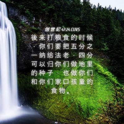 Picture 04 - 创 世 纪 47:24 CUVS - 後 来 打 粮 食 的 时 候 ， 你 们 要 - Bible Verse Picture