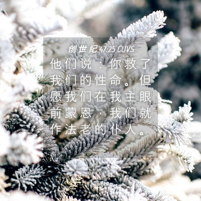 Picture 04 - 创 世 纪 47:25 CUVS - 他 们 说 ： 你 救 了 我 们 的 性 命 - Bible Verse Picture