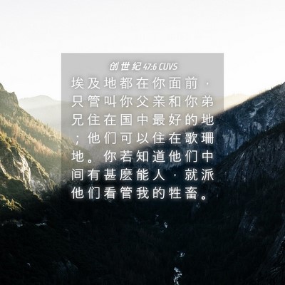 Picture 04 - 创 世 纪 47:6 CUVS - 埃 及 地 都 在 你 面 前 ， 只 管 叫 - Bible Verse Picture
