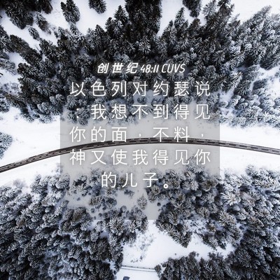 Picture 04 - 创 世 纪 48:11 CUVS - 以 色 列 对 约 瑟 说 ： 我 想 不 到 - Bible Verse Picture