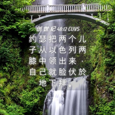 Picture 04 - 创 世 纪 48:12 CUVS - 约 瑟 把 两 个 儿 子 从 以 色 列 两 - Bible Verse Picture