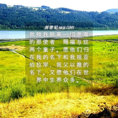 Picture 04 - 创 世 纪 48:16 CUVS - 救 赎 我 脱 离 一 切 患 难 的 那 使 - Bible Verse Picture