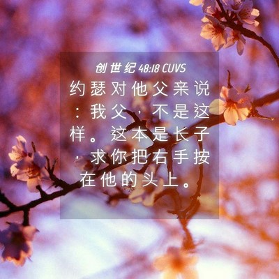 Picture 04 - 创 世 纪 48:18 CUVS - 约 瑟 对 他 父 亲 说 ： 我 父 ， 不 - Bible Verse Picture