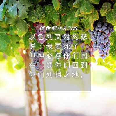 Picture 04 - 创 世 纪 48:21 CUVS - 以 色 列 又 对 约 瑟 说 ： 我 要 死 - Bible Verse Picture