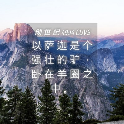 Picture 04 - 创 世 纪 49:14 CUVS - 以 萨 迦 是 个 强 壮 的 驴 ， 卧 在 - Bible Verse Picture