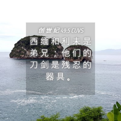 Picture 04 - 创 世 纪 49:5 CUVS - 西 缅 和 利 未 是 弟 兄 ； 他 们 的 - Bible Verse Picture