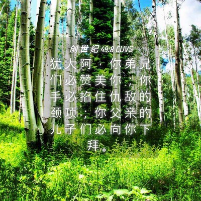 Picture 04 - 创 世 纪 49:8 CUVS - 犹 大 阿 ， 你 弟 兄 们 必 赞 美 你 - Bible Verse Picture