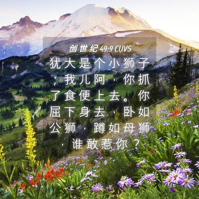 Picture 04 - 创 世 纪 49:9 CUVS - 犹 大 是 个 小 狮 子 ； 我 儿 阿 ， - Bible Verse Picture