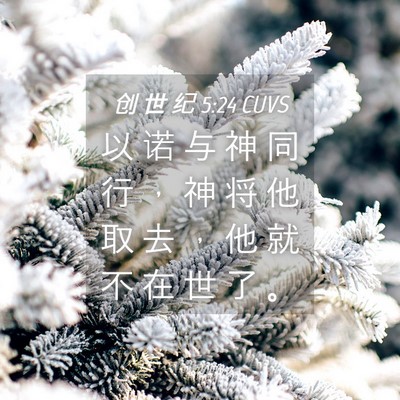 Picture 04 - 创 世 纪 5:24 CUVS - 以 诺 与 神 同 行 ， 神 将 他 取 去 - Bible Verse Picture