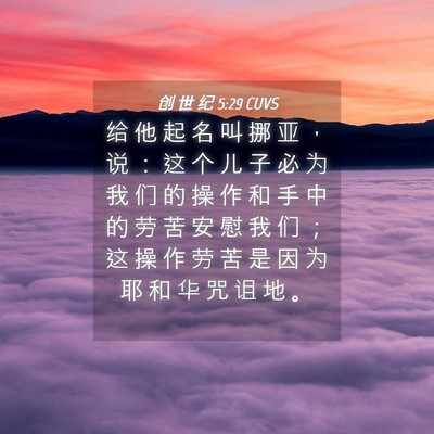 Picture 04 - 创 世 纪 5:29 CUVS - 给 他 起 名 叫 挪 亚 ， 说 ： 这 个 - Bible Verse Picture