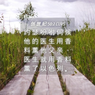 Picture 04 - 创 世 纪 50:2 CUVS - 约 瑟 吩 咐 伺 候 他 的 医 生 用 香 - Bible Verse Picture