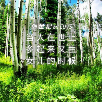 Picture 04 - 创 世 纪 6:1 CUVS - 当 人 在 世 上 多 起 来 又 生 女 儿 - Bible Verse Picture