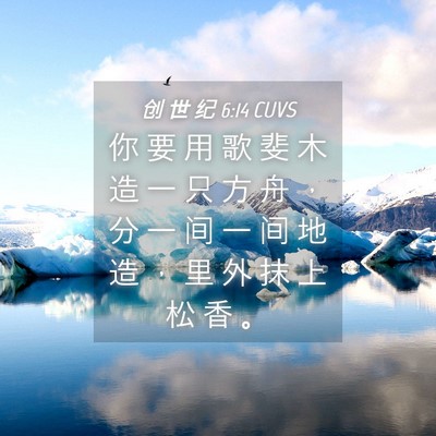 Picture 04 - 创 世 纪 6:14 CUVS - 你 要 用 歌 斐 木 造 一 只 方 舟 ， - Bible Verse Picture