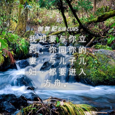 Picture 04 - 创 世 纪 6:18 CUVS - 我 却 要 与 你 立 约 ； 你 同 你 的 - Bible Verse Picture