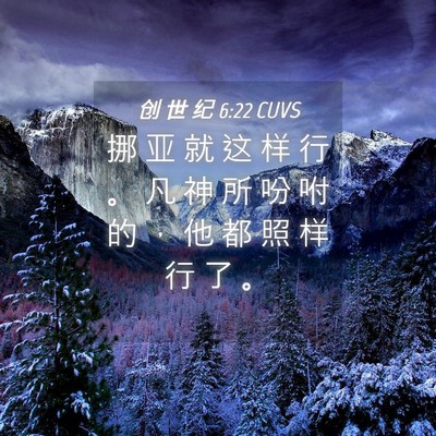 Picture 04 - 创 世 纪 6:22 CUVS - 挪 亚 就 这 样 行 。 凡 神 所 吩 咐 - Bible Verse Picture