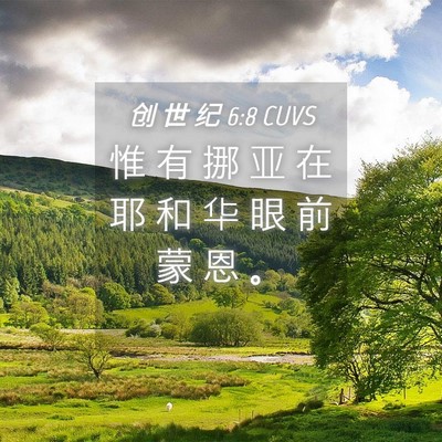Picture 04 - 创 世 纪 6:8 CUVS - 惟 有 挪 亚 在 耶 和 华 眼 前 蒙 恩 - Bible Verse Picture