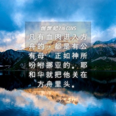 Picture 04 - 创 世 纪 7:16 CUVS - 凡 有 血 肉 进 入 方 舟 的 ， 都 是 - Bible Verse Picture