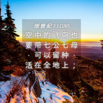Picture 04 - 创 世 纪 7:3 CUVS - 空 中 的 飞 鸟 也 要 带 七 公 七 母 - Bible Verse Picture